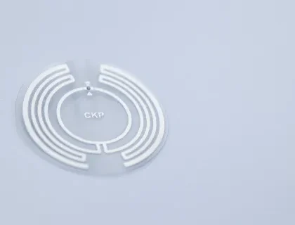 Checkpoint RFID Inlay Pali Produktbild